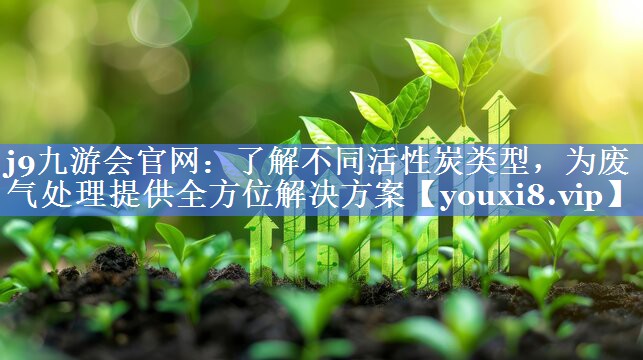 了解不同活性炭类型，为废气处理提供全方位解决方案