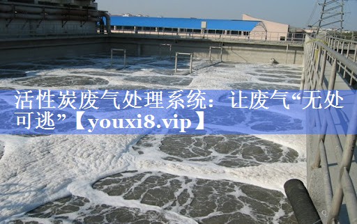 活性炭废气处理系统：让废气“无处可逃”