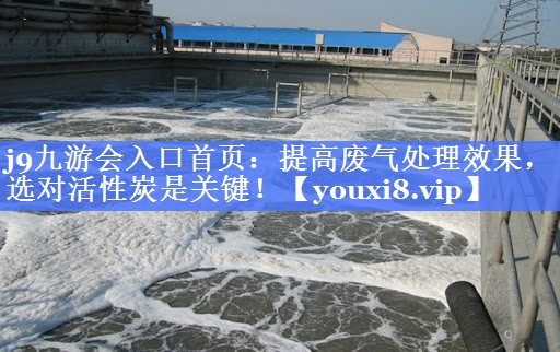 j9九游会入口首页：提高废气处理效果，选对活性炭是关键！