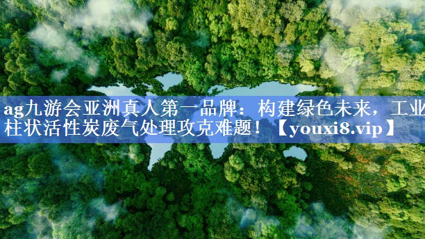 <strong>ag九游会亚洲真人第一品牌：构建绿色未来，工业柱状活性炭废气处理攻克难题！</strong>