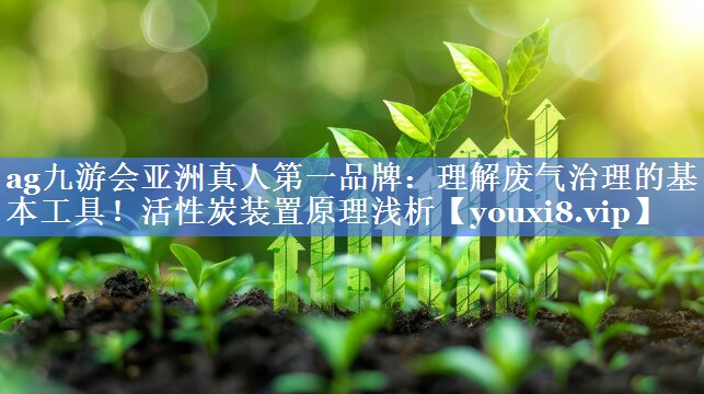 ag九游会亚洲真人第一品牌：理解废气治理的基本工具！活性炭装置原理浅析