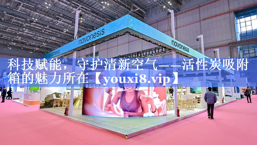 科技赋能，守护清新空气——活性炭吸附箱的魅力所在