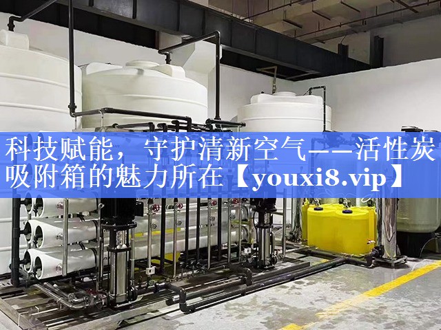 科技赋能，守护清新空气——活性炭吸附箱的魅力所在