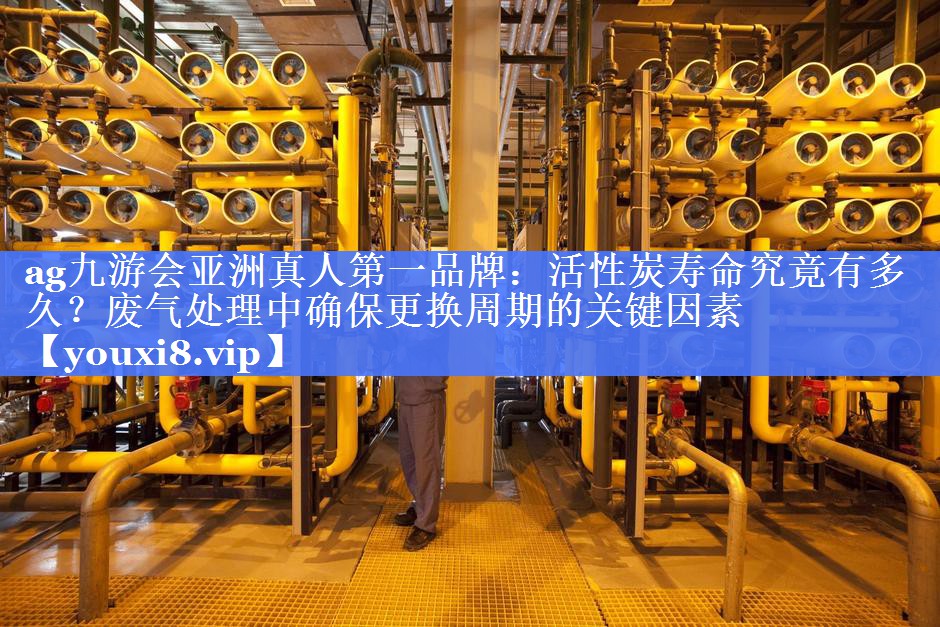 活性炭寿命究竟有多久？废气处理中确保更换周期的关键因素