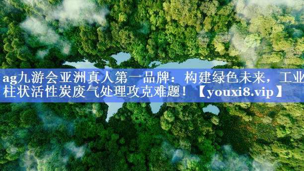 构建绿色未来，工业柱状活性炭废气处理攻克难题！