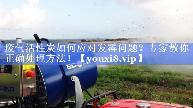 废气活性炭如何应对发霉问题？专家教你正确处理方法！