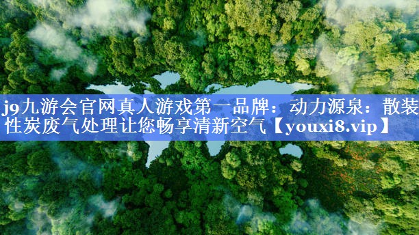 动力源泉：散装活性炭废气处理让您畅享清新空气
