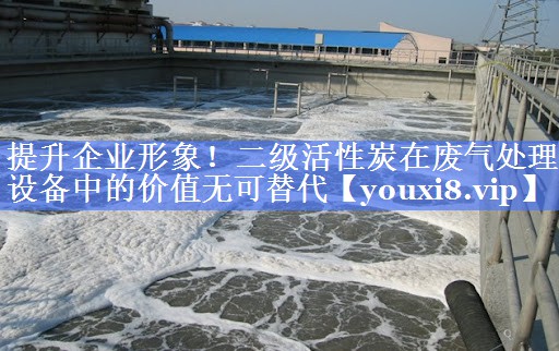提升企业形象！二级活性炭在废气处理设备中的价值无可替代