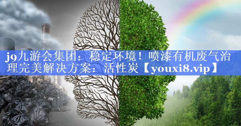 稳定环境！喷漆有机废气治理完美解决方案：活性炭